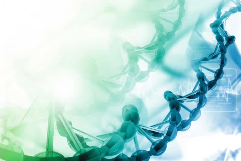 Digital Illustration of DNA in green and blue